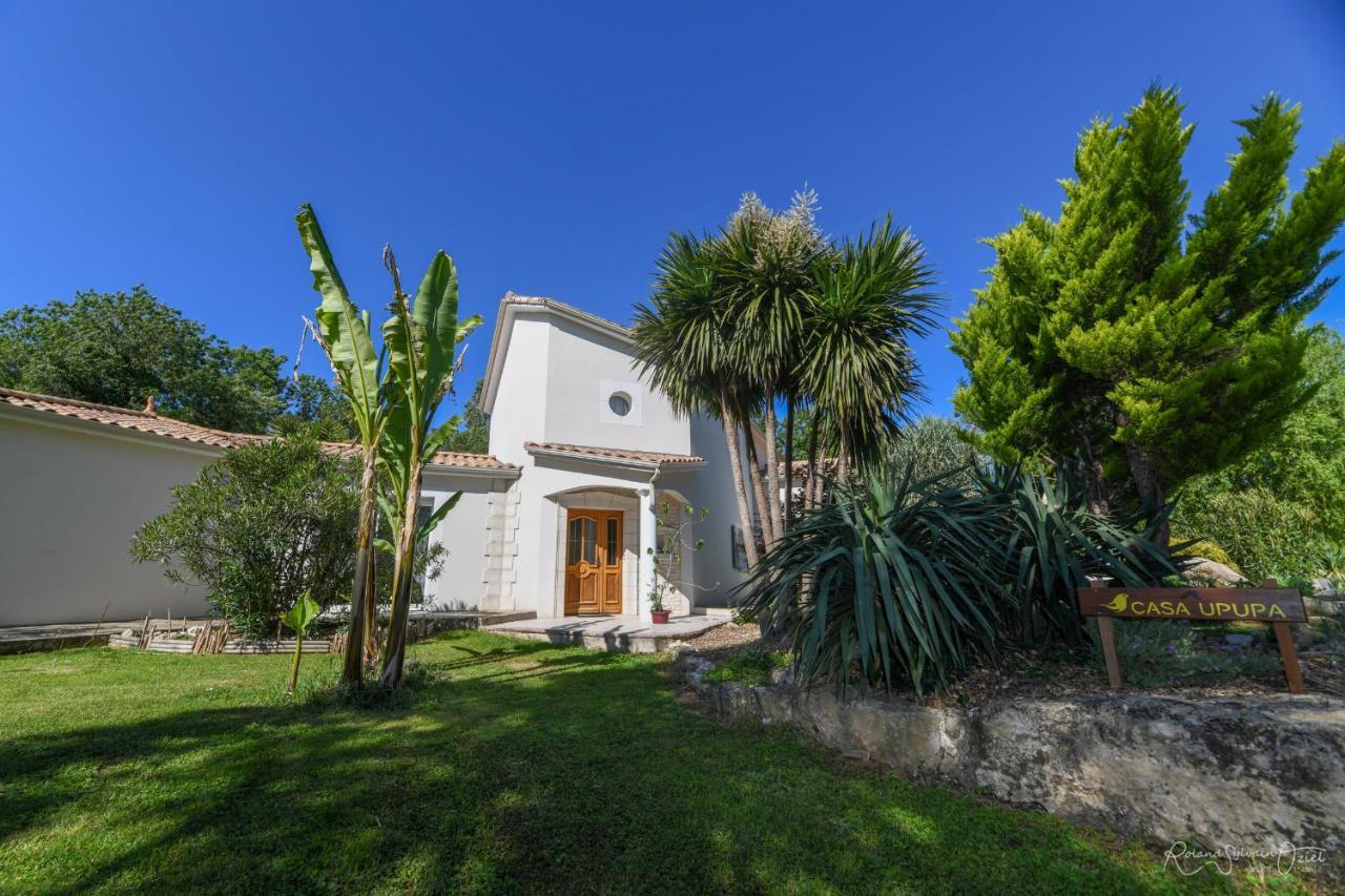 Bed and Breakfast Casa Upupa à Montreuil  Extérieur photo